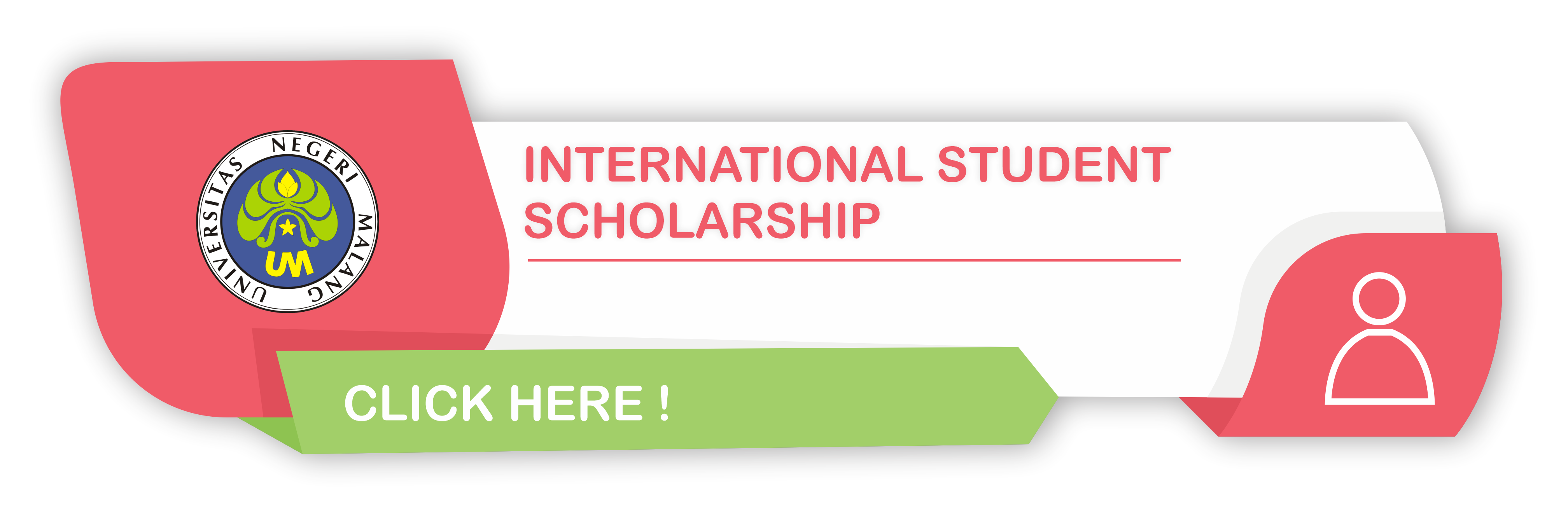 INTERNATIONAL SCHOLARSHIP
